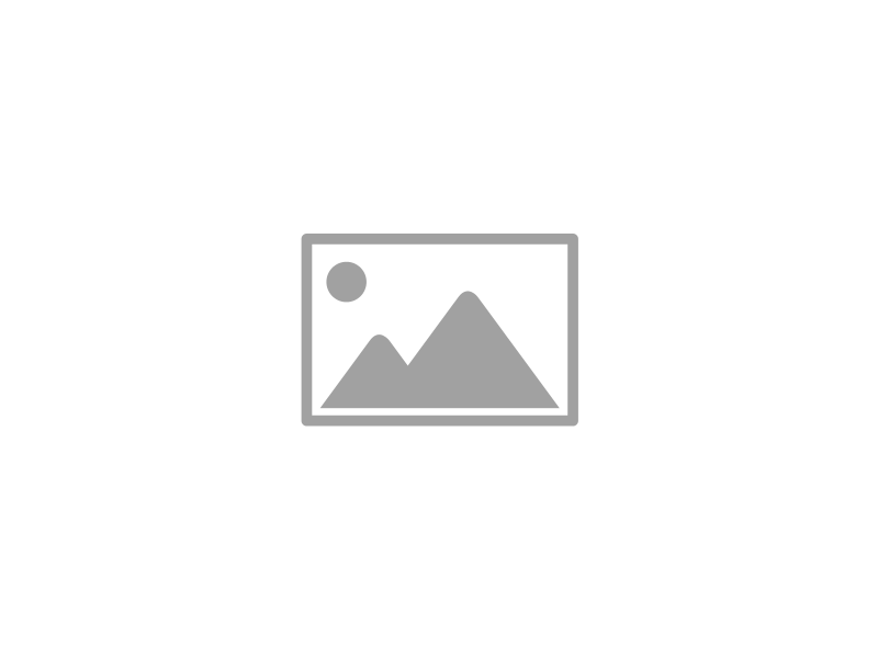 Выставки